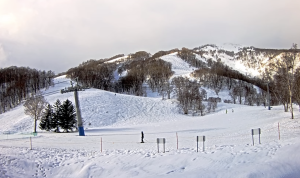 Niseko, Thursday,march 5r=th. Photo: Niseko Snow Cams